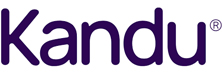 Kandu: Reshaping Post-Stroke Recovery with Holistic Care Services