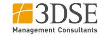 3DSE